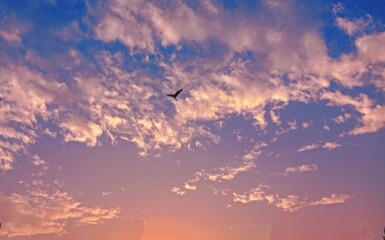 sunset in the sky