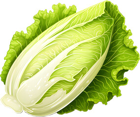 When making kimchi, cabbage, Chinese cabbage, vegetables,