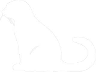mink outline