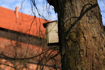 Wooden bird feeder on the tree