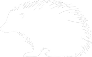 North American porcupine outline