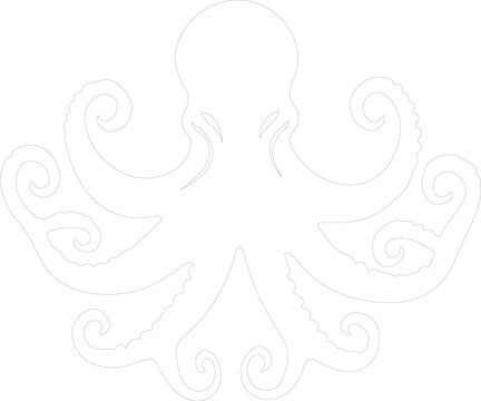 octopus outline