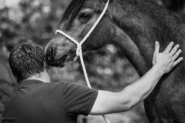 Welsh A pony being pet by owner, softly touching face human