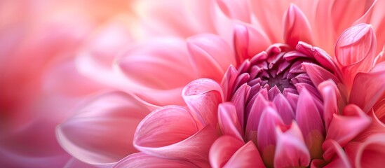 Beautiful soft pink flower with a dreamy blur effect in a nature setting