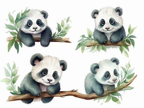 Set of cute baby panda bear on the tree branch watercolor isolated white background. Vector illustration
