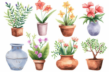 Set of watercolor painting spring or summer flowers and leaves branch in pot garden plants vector illustration
