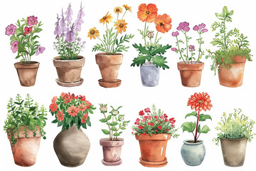 Set of watercolor painting spring or summer flowers and leaves branch in pot garden plants vector illustration