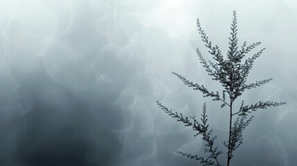  a close up of a plant on a foggy day with a blurry sky in the backround.