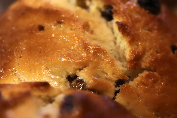 Yummy fresh bun with raisins background. Macro closeup.