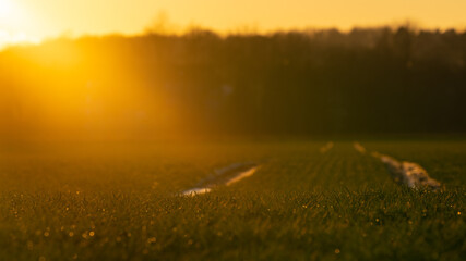 Lichtschein von der Sonne 