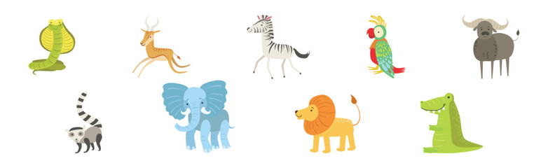 Wild African Animal and Zoo Beast Vector Set