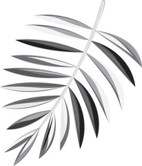 Black and white variety of tropical and forest leaves. illustration isolated on transparent, png. modern style