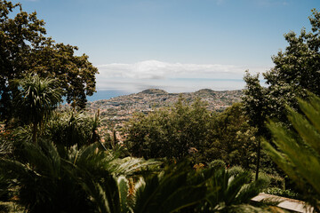 Funchal Madeira - obrazy, fototapety, plakaty