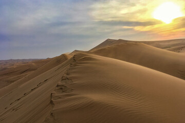 Fototapeta na wymiar Inner Mongolia Desert Oasis