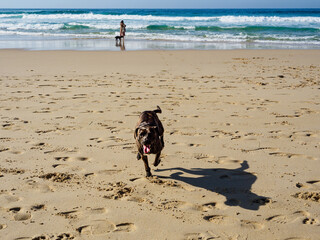 Disfrutar de la arena de la playa y el mar