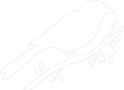 tanager outline