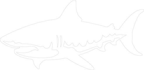 tiger shark outline