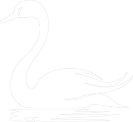 trumpeter swan outline - obrazy, fototapety, plakaty