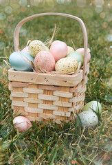 Easter basket with eggs on green grass. Sun rays - 752522142