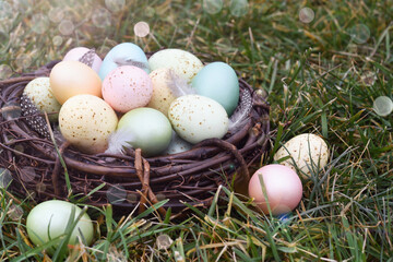 Easter nest and feathers with eggs on green grass. Sun rays. - 752522300