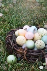 Easter nest and feathers with eggs on green grass. Sun rays. - 752522324