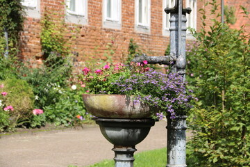 Blumen in altem Brunnen im Kloster Walsrode in der Lüneburger Heide - 752526184