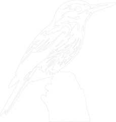 white-breasted nuthatch outline