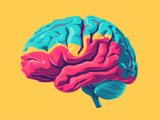 Human brain concept illustration. Mind education symbol. Digital artwork raster bitmap illustration. - obrazy, fototapety, plakaty