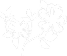 dogwood outline