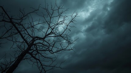 A captivating uprisen angle view capturing the silhouette of a leafless tree twig against a dark and cloudy sky - obrazy, fototapety, plakaty