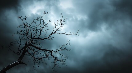 A captivating uprisen angle view capturing the silhouette of a leafless tree twig against a dark and cloudy sky