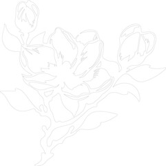 magnolia outline