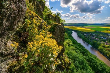 Blooming yellow flowers on a rock, a valley with a river and fields with blooming oilseed rape, a...