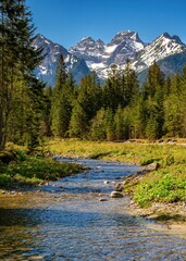 Mountain valley with a stream, forest and peaks in the background. Hiking and exploring the mountains in spring © Ivan