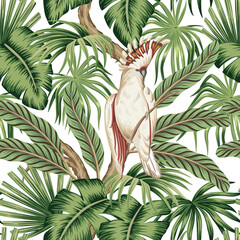 Tropical vintage palm leaves, white parrot floral seamless pattern white background. Exotic jungle wallpaper. - 752535353