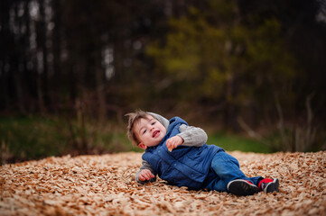 A little boy lies in a bed of wood chips, his joy and playfulness captured in a natural outdoor setting, with a backdrop of trees