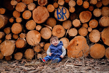 The infectious laughter of a toddler echoes against a backdrop of stacked logs, highlighting the...