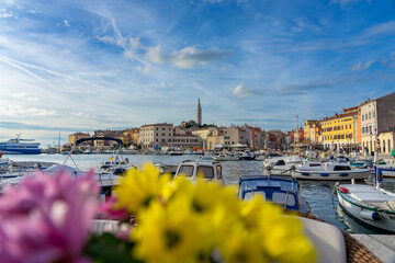harbor of Rovinj with colorful vivid flowers and skyline of the city