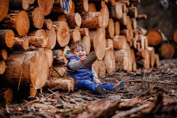A young boy chuckles gleefully amidst a rustic backdrop of freshly cut timber, the textures of...