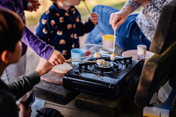 Children gather around a portable camp stove, joyfully roasting marshmallows, sharing a moment of delight and family bonding in nature
