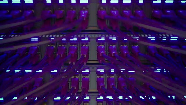 Modern Internet Network Switch With Plugged Ethernet Cables