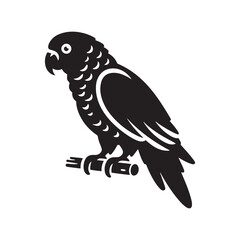 Shadow Parrot: Black Vector Parrot Silhouette - Capturing the Elegance and Charm of Nature's Vivid Avian Companion. Minimalist parrot illustration, Parrot vector. © Wolfe 