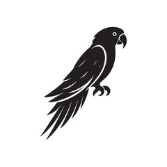 Shadow Parrot: Black Vector Parrot Silhouette - Capturing the Elegance and Charm of Nature's Vivid Avian Companion. Minimalist parrot illustration, Parrot vector.