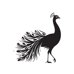 Night's Majesty: Black Vector Peacock Silhouette - Capturing the Elegance and Splendor of Nature's Enigmatic Avian Display. Minimalist Peacock illustration.