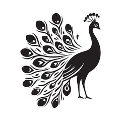 Night's Majesty: Black Vector Peacock Silhouette - Capturing the Elegance and Splendor of Nature's Enigmatic Avian Display. Minimalist Peacock illustration.
