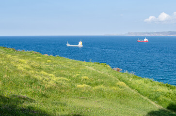 Fototapeta na wymiar Green, rocky coast of Santander, with boats in the background