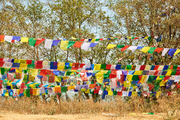 Colorful Tibetan prayer flags flutter in wind in green Kathmandu forest symbolizing serene ambiance...
