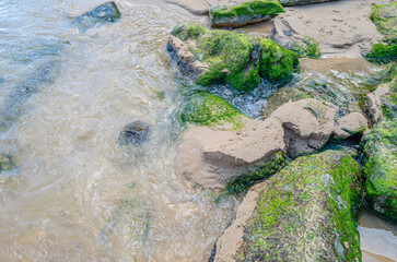 Stones with moss on the shore of the Cantabrian Sea