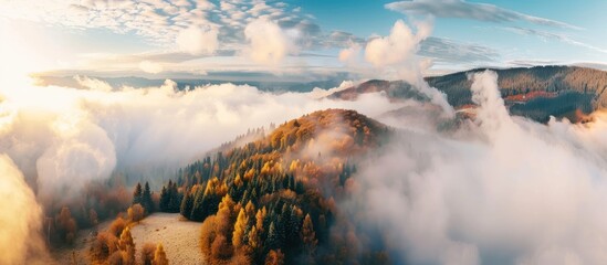 trees on the hill and mountains in low clouds at sunrise in autumn - obrazy, fototapety, plakaty