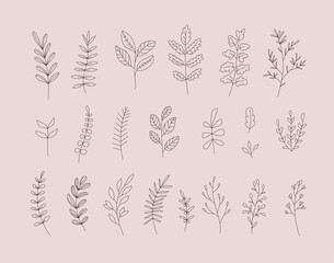 vector hand drawn branches leaves collection, doodle country core